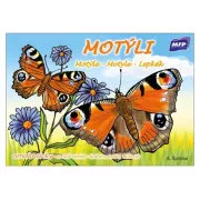 Omalovánky MFP Motýli A5