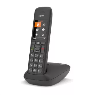 Gigaset C575 Gigaset C575