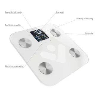 TrueLife FitScale W6 BT - Bioelektrická impedanční bluetooth váha - bílá TrueLife FitScale W6 BT - Bioelektrická impedanční bluetooth váha - bílá
