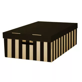 Archivační krabice s víkem 56x37x18cm černá nosnost 10kg 2ks Archivační krabice s víkem 56x37x18cm černá nosnost 10kg 2ks
