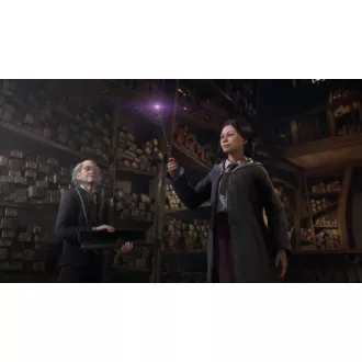 PS4 hra Hogwarts Legacy PS4 hra Hogwarts Legacy