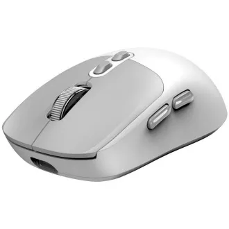 GENIUS myš NX-8080S BT/ duální Bluetooth + 2, 4GHz/ 1600 dpi/ Copilot/ bezdrátová/ tichá/ bílošedá GENIUS myš NX-8080S BT/ duální Bluetooth + 2, 4GHz/ 1600 dpi/ Copilot/ bezdrátová/ tichá/ bílošedá