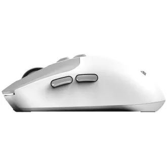 GENIUS myš NX-8080S BT/ duální Bluetooth + 2, 4GHz/ 1600 dpi/ Copilot/ bezdrátová/ tichá/ bílošedá GENIUS myš NX-8080S BT/ duální Bluetooth + 2, 4GHz/ 1600 dpi/ Copilot/ bezdrátová/ tichá/ bílošedá