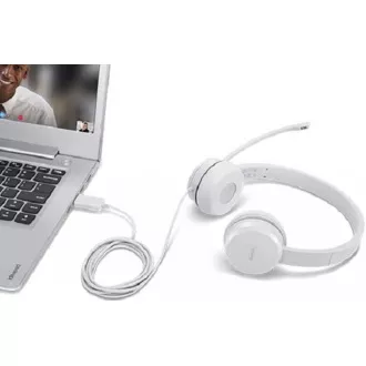 LENOVO 110 Stereo USB Headset LENOVO 110 Stereo USB Headset