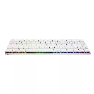 ASUS klávesnice ROG FALCHION RX Low profile (ROG NX Snow), US ASUS klávesnice ROG FALCHION RX Low profile (ROG NX Snow), US
