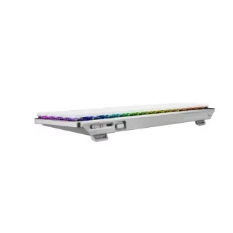 ASUS klávesnice ROG FALCHION RX Low profile (ROG NX Snow), US ASUS klávesnice ROG FALCHION RX Low profile (ROG NX Snow), US