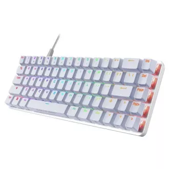 ASUS klávesnice ROG FALCHION ACE Moonlight White, mechanická, USB, US, bílá ASUS klávesnice ROG FALCHION ACE Moonlight White, mechanická, USB, US, bílá
