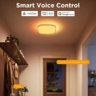 Govee RGBICWW Smart čtverhranné stropní světlo 2400lm 30cm Matter Govee RGBICWW Smart čtverhranné stropní světlo 2400lm 30cm Matter
