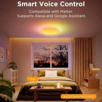 Govee RGBICWW Smart kulaté stropní světlo 4300lm 38cm Matter Govee RGBICWW Smart kulaté stropní světlo 4300lm 38cm Matter