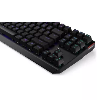 Endorfy herní klávesnice Thock TKL Brown / drátová / USB / brown switch / mechanická / CZ layout / černá RGB