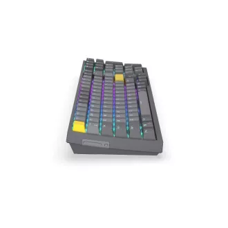 Endorfy herní klávesnice Celeris 1800, bezdrátová, yellow switch, mechanická, US layout, RGB Endorfy herní klávesnice Celeris 1800, bezdrátová, yellow switch, mechanická, US layout, RGB