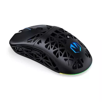 Endorfy Herní myš LIV Wireless, Bezdrátová, ARGB, černá