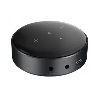 WiiM Mini