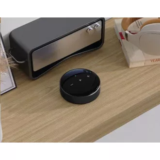 WiiM Mini