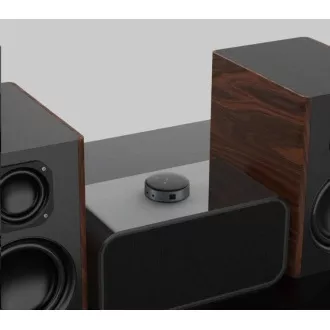 WiiM Mini