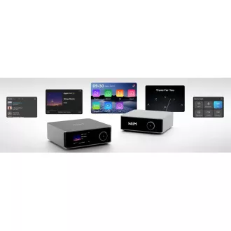 WiiM Ultra - Silver WiiM Ultra - Silver