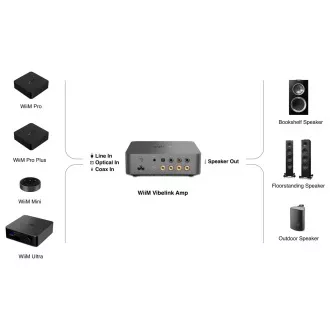 WiiM Vibelink Amp - Grey WiiM Vibelink Amp - Grey