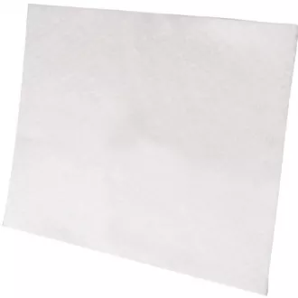 EF1 MOTOROVÝ FILTR(900034312) ELECTROLUX EF1 MOTOROVÝ FILTR(900034312) ELECTROLUX