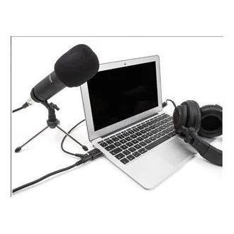 Delock Externí zvuková karta USB 24 bitů / 96 kHz Plug & Play pro Windows, MAC, Linux, Chrome OS
