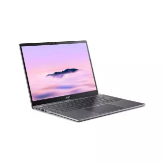 Acer Chromebook Plus 514/CB514-5H-31PH/3-100U/14"/WUXGA/8GB/256GB SSD/UHD/Chrome/Gray/2R