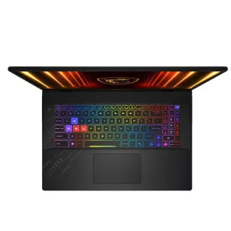 MSI Crosshair/17 HX AI D2XWGKG-039CZ/U9-275HX/17"/2560x1600/32GB/2TB/RTX 5070/W11H/Gray/2R