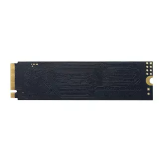 PATRIOT P300/1TB/SSD/M.2 NVMe/5R PATRIOT P300/1TB/SSD/M.2 NVMe/5R