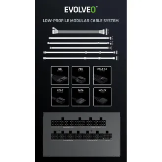EVOLVEO G1000/1000W/ATX 3.0/80PLUS Gold/Modular