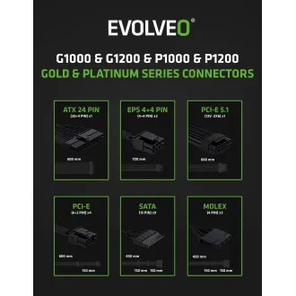 EVOLVEO G1000/1000W/ATX 3.0/80PLUS Gold/Modular