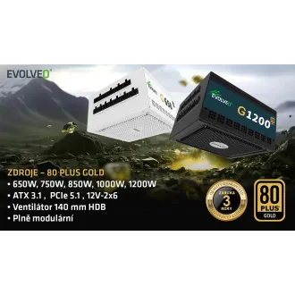 EVOLVEO G750,750W,ATX3.1,14cm,aPFC,80+GOLD,3YRW EVOLVEO G750,750W,ATX3.1,14cm,aPFC,80+GOLD,3YRW