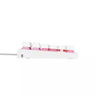 Genesis herní mechanická klávesnice THOR 303/RGB/Outemu Peach Silent/Drátová USB/US layout/Bílá