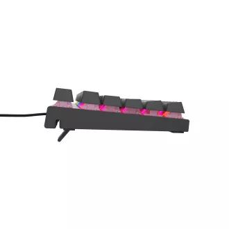 Genesis tichá herní klávesnice THOR 303/TKL/RGB/Outemu Peach/Drátová USB/CZ-SK layout/Černá