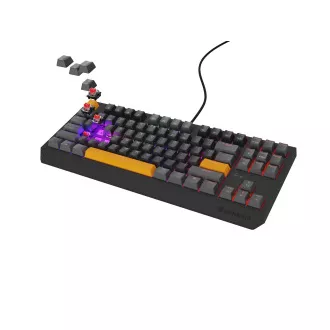 Genesis herní klávesnice THOR 230/TKL/RGB/Outemu Red/Drátová USB/US layout/Anchor Positive Šedá Genesis herní klávesnice THOR 230/TKL/RGB/Outemu Red/Drátová USB/US layout/Anchor Positive Šedá