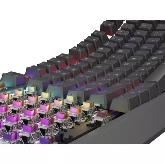 Genesis herní klávesnice THOR 230/TKL/RGB/Outemu Brown/Drátová USB/US layout/Černá Genesis herní klávesnice THOR 230/TKL/RGB/Outemu Brown/Drátová USB/US layout/Černá