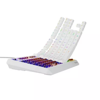 Genesis herní klávesnice THOR 230/TKL/RGB/Outemu Brown/Drátová USB/US layout/Bílá Genesis herní klávesnice THOR 230/TKL/RGB/Outemu Brown/Drátová USB/US layout/Bílá
