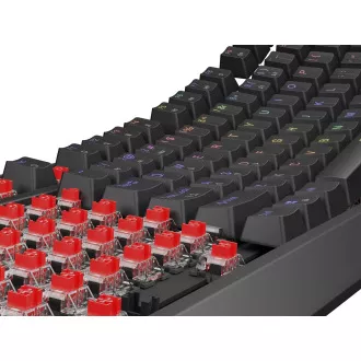 Genesis herní klávesnice THOR 230/TKL/RGB/Outemu Red/Drátová USB/US layout/Černá Genesis herní klávesnice THOR 230/TKL/RGB/Outemu Red/Drátová USB/US layout/Černá