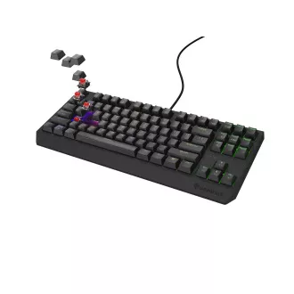 Genesis herní klávesnice THOR 230/TKL/RGB/Outemu Red/Drátová USB/US layout/Černá Genesis herní klávesnice THOR 230/TKL/RGB/Outemu Red/Drátová USB/US layout/Černá