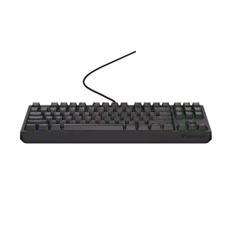 Genesis herní klávesnice THOR 230/TKL/RGB/Outemu Red/Drátová USB/US layout/Černá Genesis herní klávesnice THOR 230/TKL/RGB/Outemu Red/Drátová USB/US layout/Černá