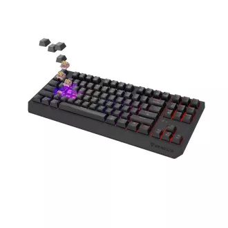 GENESIS herní klávesnice THOR 230/TKL/RGB/Outemu Panda/Bezdrátová USB + Bluetooth/US layout/Černá GENESIS herní klávesnice THOR 230/TKL/RGB/Outemu Panda/Bezdrátová USB + Bluetooth/US layout/Černá