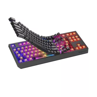 GENESIS herní klávesnice THOR 230/TKL/RGB/Outemu Panda/Bezdrátová USB + Bluetooth/US layout/Černá GENESIS herní klávesnice THOR 230/TKL/RGB/Outemu Panda/Bezdrátová USB + Bluetooth/US layout/Černá