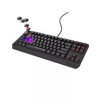 Herní klávesnice Genesis THOR 230/TKL/RGB/Outemu Red/Drátové USB-A/CZ-SK layout/Černá Herní klávesnice Genesis THOR 230/TKL/RGB/Outemu Red/Drátové USB-A/CZ-SK layout/Černá
