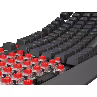Herní klávesnice Genesis THOR 230/TKL/RGB/Outemu Red/Drátové USB-A/CZ-SK layout/Černá Herní klávesnice Genesis THOR 230/TKL/RGB/Outemu Red/Drátové USB-A/CZ-SK layout/Černá