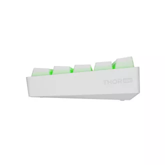 Genesis herní klávesnice THOR 660 G2/Gateron Red/USB+BT/US layout/Bílá Genesis herní klávesnice THOR 660 G2/Gateron Red/USB+BT/US layout/Bílá