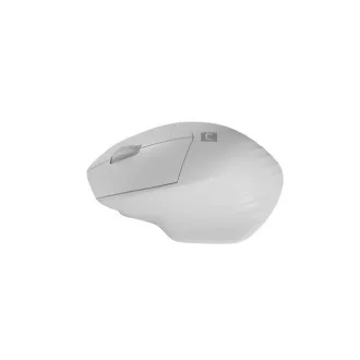 Natec optická myš SISKIN 2/Kancelářská/Optická/Pro praváky/1 600 DPI/USB+BT/Bílá