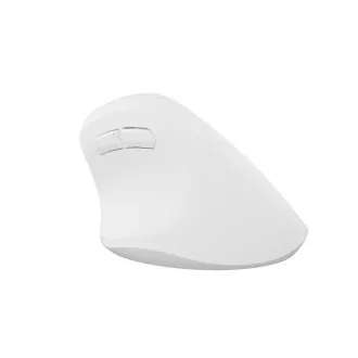 Bezdrátová myš Natec CRAKE 2/Kancelářská/Optická/2 400 DPI/USB+BT/Bílá/Vertikální/Optická/Pro pravák