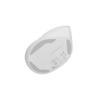 Bezdrátová myš Natec CRAKE 2/Kancelářská/Optická/2 400 DPI/USB+BT/Bílá/Vertikální/Optická/Pro pravák