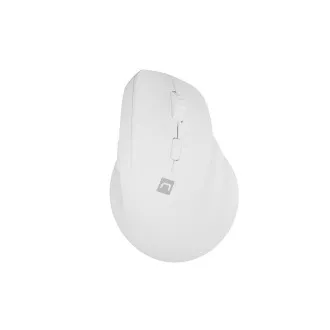 Bezdrátová myš Natec CRAKE 2/Kancelářská/Optická/2 400 DPI/USB+BT/Bílá/Vertikální/Optická/Pro pravák