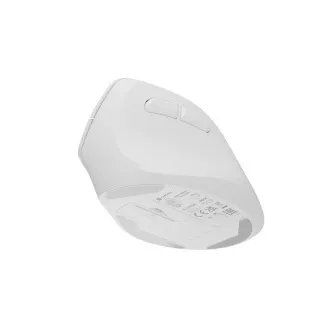 Bezdrátová myš Natec CRAKE 2/Kancelářská/Optická/2 400 DPI/USB+BT/Bílá/Vertikální/Optická/Pro pravák