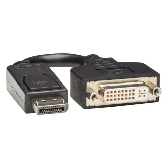 Video adaptér DisplayPort / DVI (Samec/Samice), 15.2cm Video adaptér DisplayPort / DVI (Samec/Samice), 15.2cm