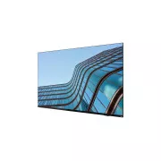 Lenovo ThinkVision E55 54,6"/16:9/3840x2160/8ms