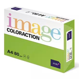 Xerografický papír Coloraction, Java, A4, 80 g/m2, středně zelený, 500 listů, vhodný pro inkoustový tisk Xerografický papír Coloraction, Java, A4, 80 g/m2, středně zelený, 500 listů, vhodný pro inkoustový tisk